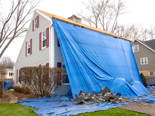 Shed Removal in North Port, FL